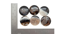 Load image into Gallery viewer, Zebra Agate: Medium Disc