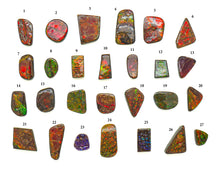 Load image into Gallery viewer, Ammolite Cabochons