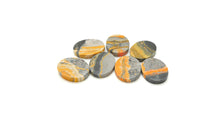 Load image into Gallery viewer, Bumblebee Jasper: Medium Disc