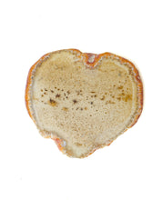 Load image into Gallery viewer, Agate Slices: small