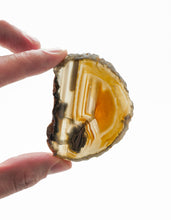 Load image into Gallery viewer, Agate Slices: small