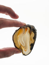Load image into Gallery viewer, Agate Slices: small