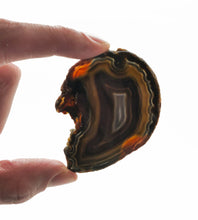 Load image into Gallery viewer, Agate Slices: small