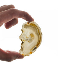 Load image into Gallery viewer, Agate Slices: small