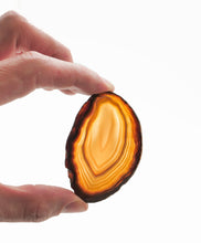 Load image into Gallery viewer, Agate Slices: small