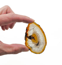 Load image into Gallery viewer, Agate Slices: small