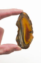 Load image into Gallery viewer, Agate Slices: small