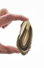Load image into Gallery viewer, Agate Slices: small