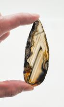 Load image into Gallery viewer, Agate Slices: small