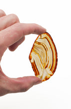 Load image into Gallery viewer, Agate Slices: small