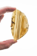 Load image into Gallery viewer, Agate Slices: small