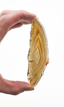 Load image into Gallery viewer, Agate Slices: small
