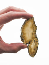 Load image into Gallery viewer, Agate Slices: small