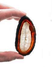 Load image into Gallery viewer, Agate Slices: small