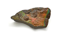 Load image into Gallery viewer, Ammolite
