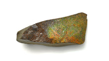 Load image into Gallery viewer, Ammolite