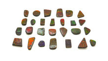 Load image into Gallery viewer, Ammolite Cabochons