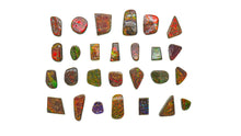 Load image into Gallery viewer, Ammolite Cabochons