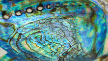 Load image into Gallery viewer, Abalone Shell