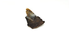 Load image into Gallery viewer, Blue Baryte w/ Hematite Dark