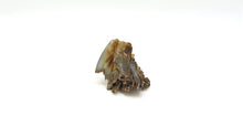 Load image into Gallery viewer, Blue Baryte w/ Hematite Dark