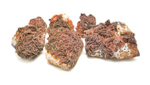 Load image into Gallery viewer, Baryte w/Druzy Vanadinite
