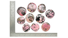 Load image into Gallery viewer, Rhodonite: Medium Disc