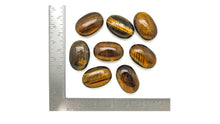 Load image into Gallery viewer, Tigers Eye: Medium Disc