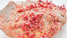 Load image into Gallery viewer, Vanadinite LG