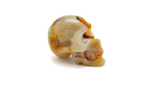 Load image into Gallery viewer, Crystal Skulls: Medium