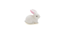 Load image into Gallery viewer, Rabbit