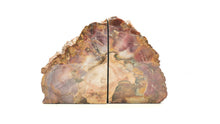 Load image into Gallery viewer, Petrified Wood Bookends