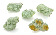 Load image into Gallery viewer, Prehnite Cluster: LG