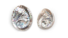 Load image into Gallery viewer, Abalone Shell