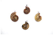 Load image into Gallery viewer, Necklace - Other Styles