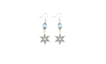 Load image into Gallery viewer, Earrings - Charm
