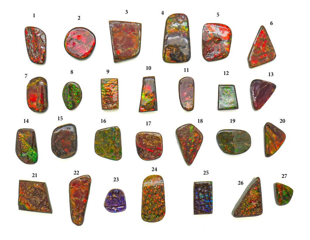 Ammolite Cabochons