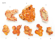 Load image into Gallery viewer, Baryte with Vanadinite: Med-Lg
