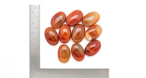 Carnelian: Medium Disc