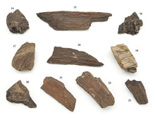 Load image into Gallery viewer, Druzy Petrified Wood
