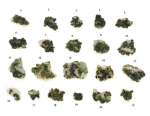 Load image into Gallery viewer, Epidote w/Quartz: Small Cluster
