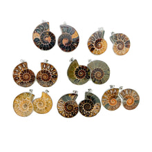 Load image into Gallery viewer, Ammonite Necklace
