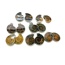 Load image into Gallery viewer, Ammonite Necklace

