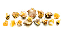 Load image into Gallery viewer, Wulfenite Cluster
