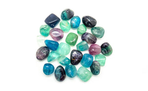 Fluorite Polished: Loose/Tumbled