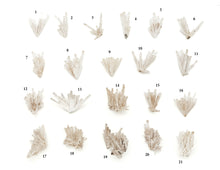 Load image into Gallery viewer, Natrolite
