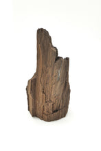 Load image into Gallery viewer, Druzy Petrified Wood
