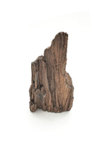Load image into Gallery viewer, Druzy Petrified Wood
