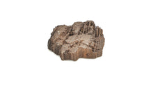 Load image into Gallery viewer, Druzy Petrified Wood
