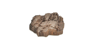 Druzy Petrified Wood